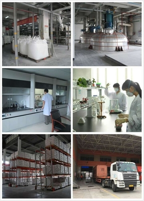 Saturated Polyester Resins With Excellent Mechanical Properties For General Industry